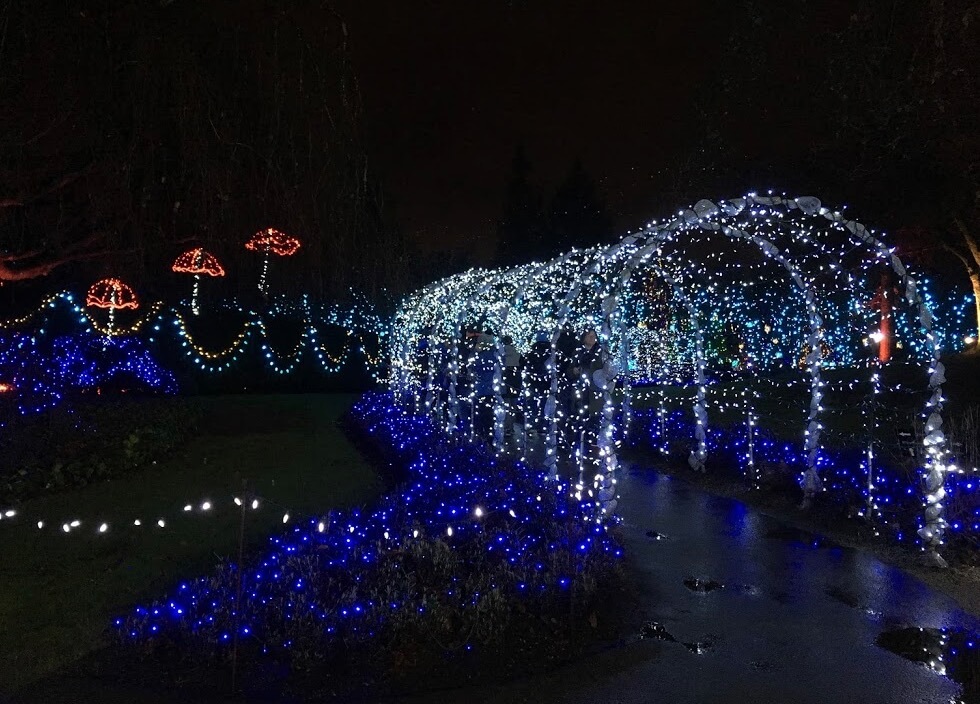 ヴァンデューセン植物園のクリスマスイルミネーション