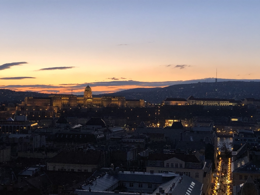 ブダペスト王宮と夜景